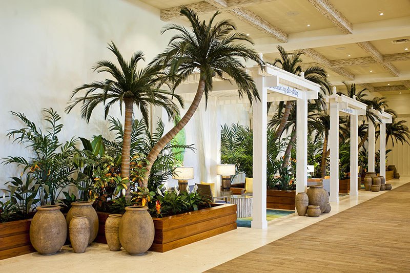 仿真棕櫚樹.jpg 仿真棕櫚樹