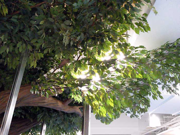 泡沫仿真樹.jpg 泡沫仿真樹