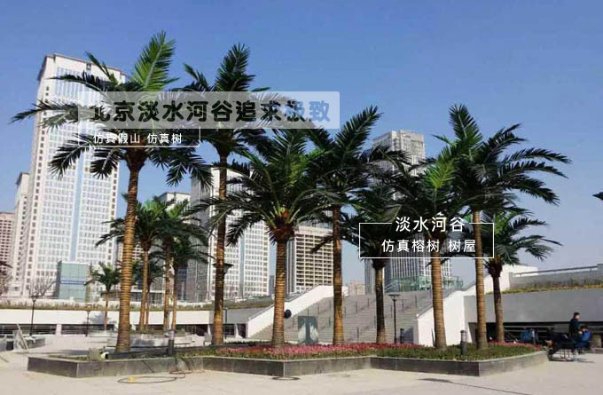 仿真椰子樹.jpg 仿真椰子樹