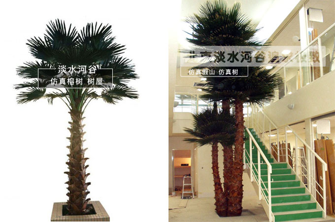 仿真棕櫚樹(shù).jpg 仿真棕櫚樹(shù)