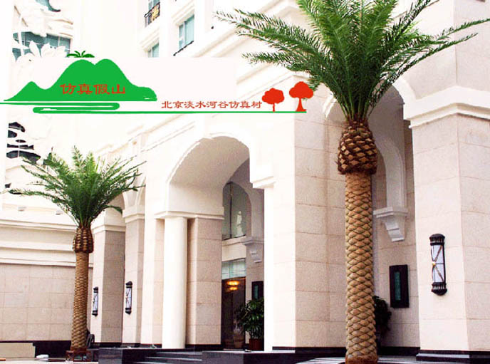 仿真海藻樹.jpg 仿真海藻樹