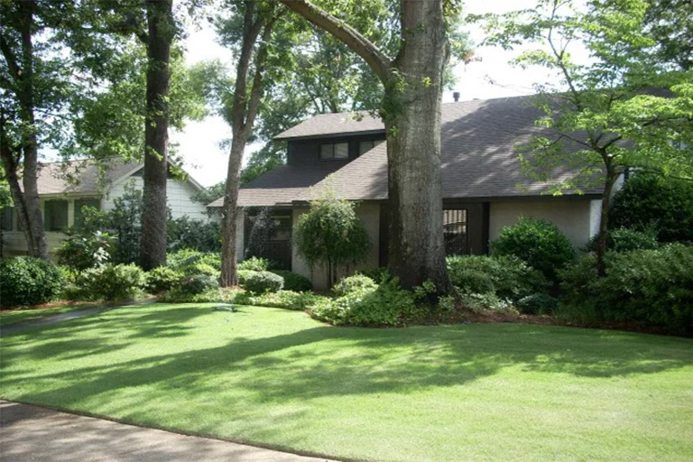 仿真樹(shù).jpg 仿真樹(shù)