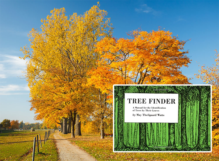 仿真樹.jpg 仿真樹