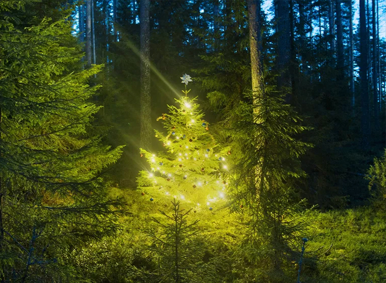 仿真樹.jpg 仿真樹