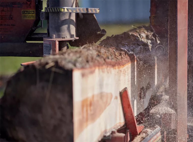 便攜式鋸木.jpg 便攜式鋸木