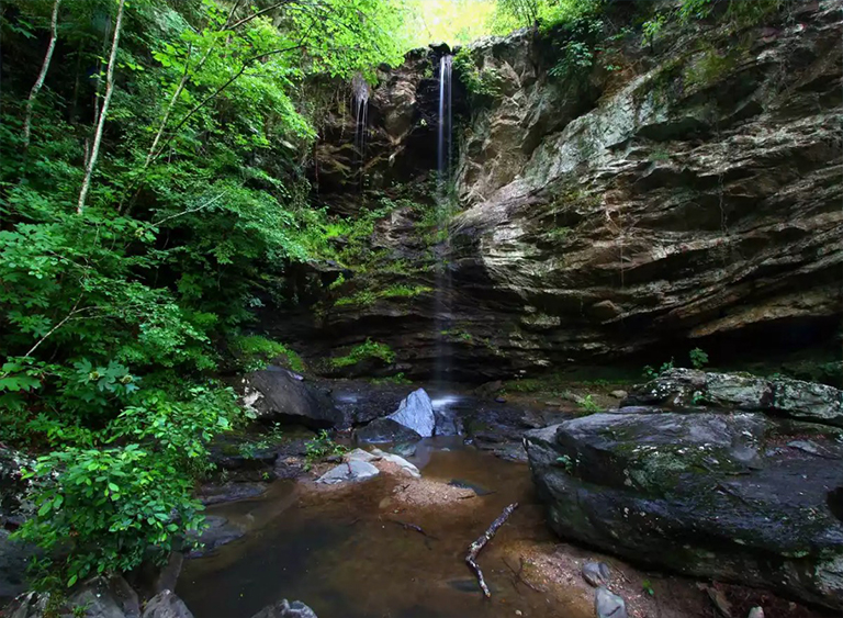 塔拉迪加國家森林公園在阿拉巴馬州
