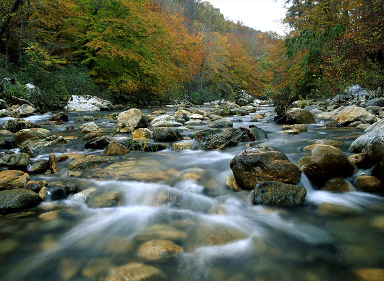 瓦希塔國家森林公園在阿肯色州