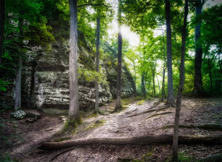 肖尼國家森林公園在伊利諾伊州.jpg 肖尼國家森林公園在伊利諾伊州