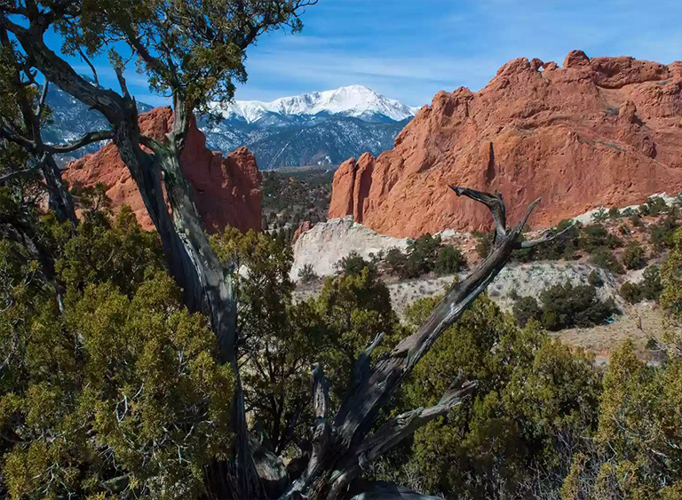 涼爽的沙漠.jpg 涼爽的沙漠