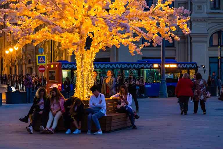 仿真樹圖片大全.jpg 仿真樹圖片大全