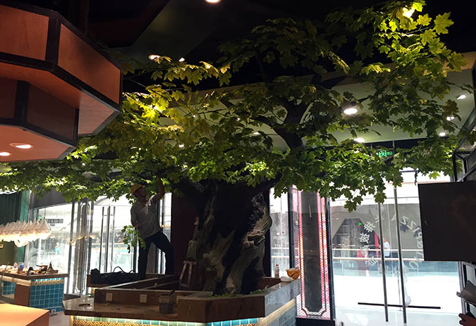 仿真樹(shù).jpg 仿真樹(shù).jpg