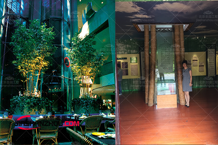 仿真樹(shù).jpg 仿真樹(shù).jpg